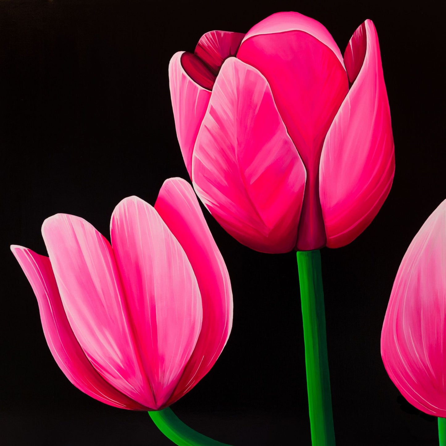 Lalele – print pe hartie premium, reproducere artistica dupa tablou original cu flori roz pe fundal negru.