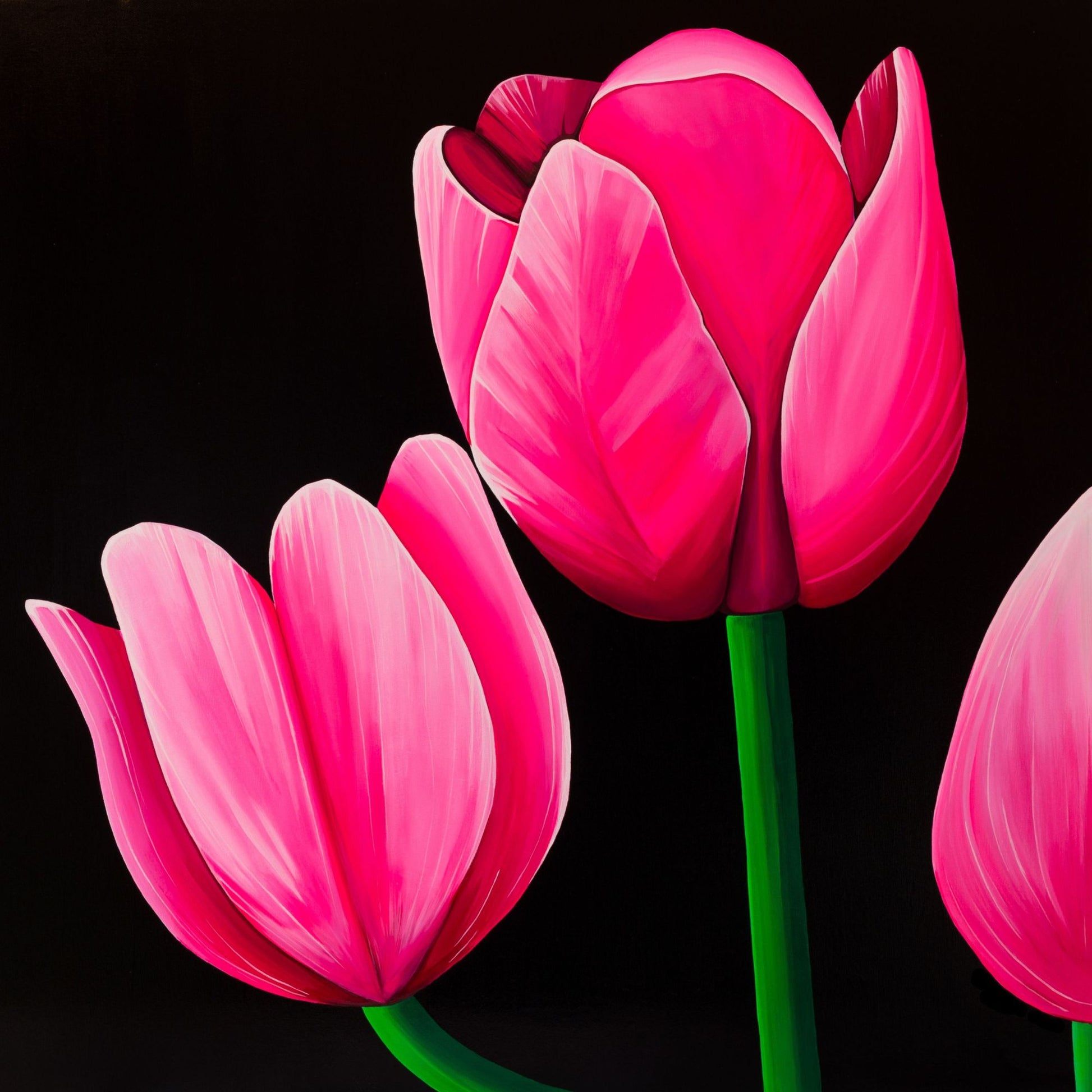 Lalele – print pe hartie premium, reproducere artistica dupa tablou original cu flori roz pe fundal negru.