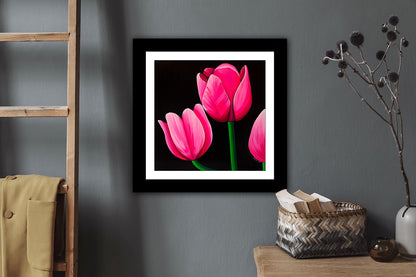 Print premium Lalele, reproducere moderna dupa tablou floral cu lalele roz vibrante.